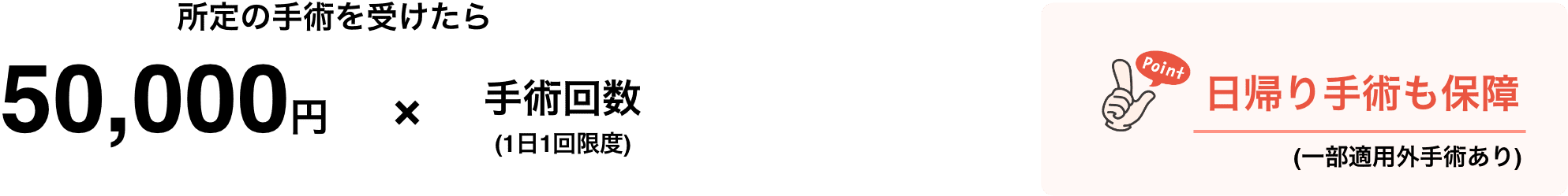 日帰り手術も保障（一部適用外手術あり）